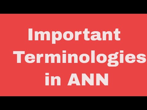 Terminologies in ANN (English Ver)