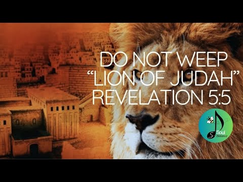 Lion of Judah, Spirit of Lion, REV 5:5 | Worship by SoulBalance | Uplifting/Faith/Soulful Gospel