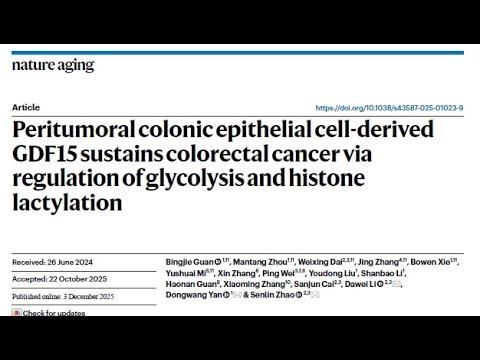 How Ageing Tissues Feed Cancer: GDF15, Lactate, and Epigenetic Reprogramming in Colorectal Tumours