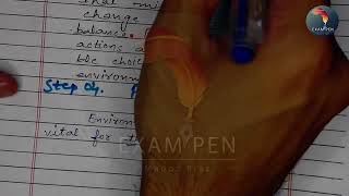Effortless Precise Writing: Mastering the 4-Step Method | Precis Writing Made Easy | Exam Pen