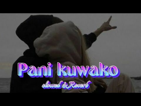 Pani_kuwako_bimal Adikari _Garima sharma_ nepali songs//tips np