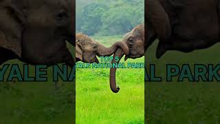 TOP 10 MUST VISITED ICONIC TOURIST PLACES IN SRI LANKA!!!#toptutorial#viral #ytshorts