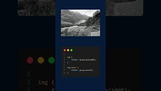 CSS Filter Greyscale | HTML CSS #html #css #tutorials