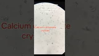 Working behind the scenes @knowledgeforstudents @nucleusmedicalmedia @TheoRojjah