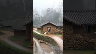 Rain Sounds for Sleeping Heavy Rain and Thunderstorm Sounds for Sleeping #rain #rainsounds