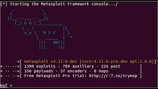 IT 250 Metasploit Framework Presentation
