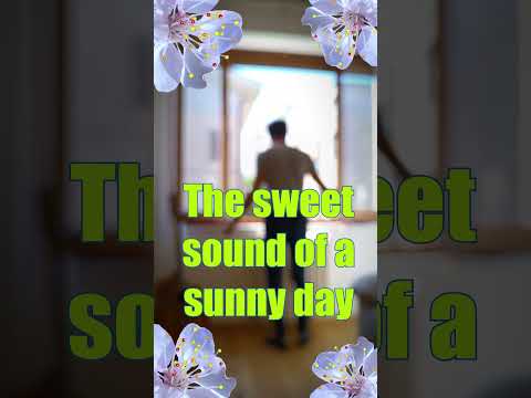 Sunny Spring Sound #sunnyday #spring #noise