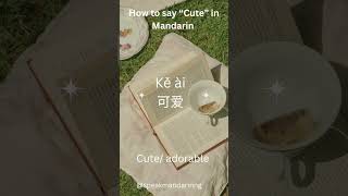 #ChineseCulture#StudyWithMe#LanguageCommunity#LearnWithMe#TeacherContent#PolyglotLife #LanguageGoals