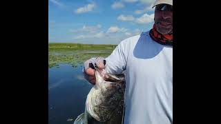 Mat punching with Spearpoint Fury hooks