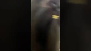 #viralreels #viralvideo #viralmusic #youtubeshorts #shorts #reels #movie #viralmovie2023 #2023 #how