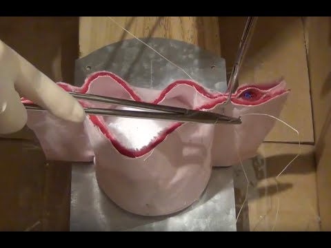 Intermediate Suturing and Knot Tying Skills for the Gynecologist