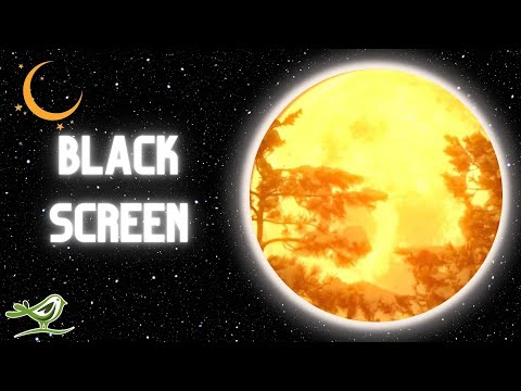 [NO ADS] Spirit | Ethereal Sleep Music with Black Screen by Peder B. Helland