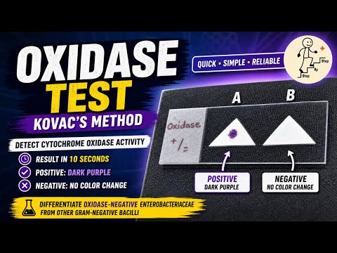 Oxidase test Easy Explanation #labtechnician #nursing #mbbs #education