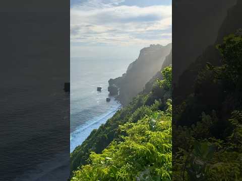 Imagine seeing this in Bali! #shorts #bali