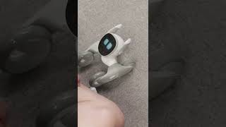 ROBOT Replaces Your CAT & DOG! #loona  #petrobot #robotdog #robotcat  #SmartRobotPet