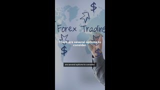Unraveling Forex Success: Strategies Every Trader Should Know