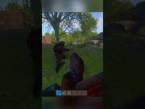 the new wolf AI is crazy