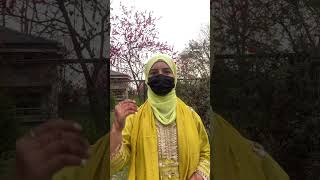 No Job No Girl | Motivation from ppsc fpsc css pms upsc #shorts