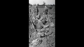 How bloody was WW1's eastern front?