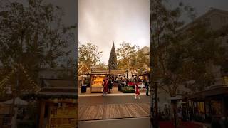 Kamusta Pasko niyo? 🎄🌟 #pinoyabroad #filipino #pinoy #filipino #filipina #travelingpinoy #pasko