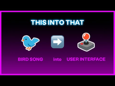 Transforming a Bird Sound into a Computer UI Design