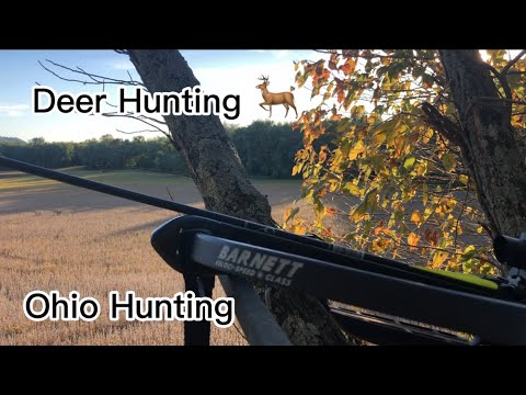 Early Season Bow Hunting In Ohio