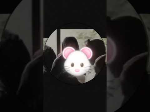 Untoshii - Top Grade  📶(Lyrics Video )     #untoshii #TopGrade #dancehallmusic #dancehal 📶🍁