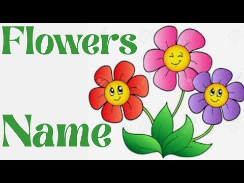 Flowers name ||Name of flowers and amazing facts about Flowers || Flowers Definition