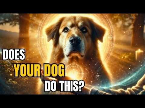 5 Signs YOUR DOG Is Spiritually PROTECTING You | Spiritual Awakening ✨