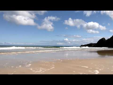 Gary Beach in Lewis 4
