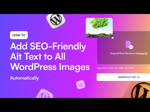 How to Add SEO Friendly Alt Text to All WordPress Images Automatically