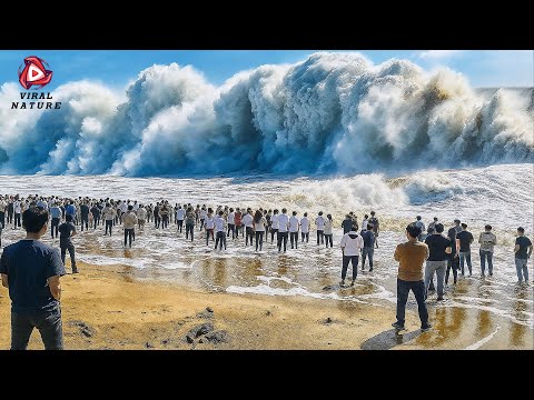 One in a Billion Moments in Nature - Best of 2025 #37