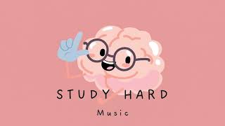 Long Study Session Lofi