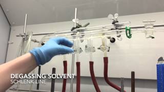 Degassing solvent on the Schlenk line