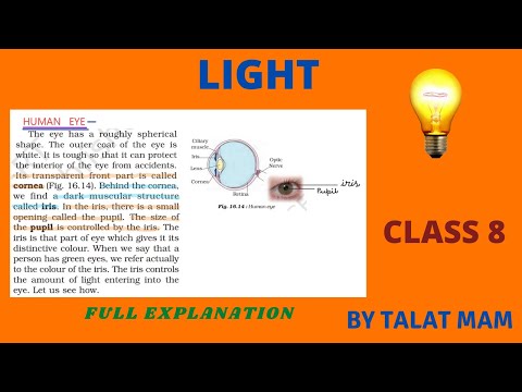 Light - Dispersion of Light, Human Eye, Care of Eyes, Braille system Class 8 Science L-3 | Talat Mam