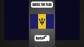 Quick Quiz Guess The Flag  #quick #quiz #trendingshorts #trendingshortsnow