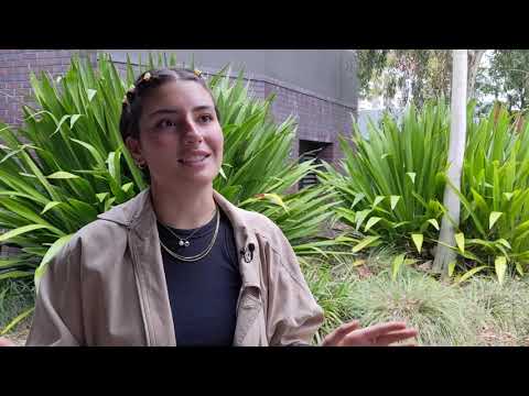 Crossing the world to accelerate solar energy research