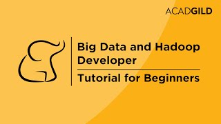 Big Data Tutorial for Beginners | Hadoop Career Path | Career with Hadoop
