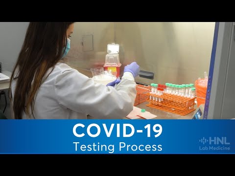 COVID Testing Process | HNL Lab Medicine