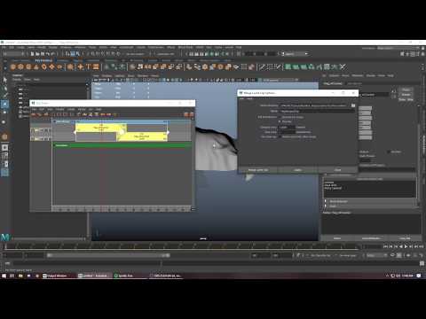 Maya 2020 nCloth Cache Blend (Trax Editor) - Dynamic Flag LookDev