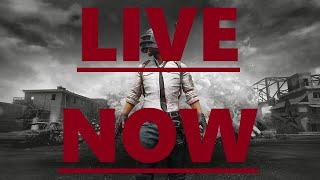 Epic Chicken Dinner Hunt – Join the Action!