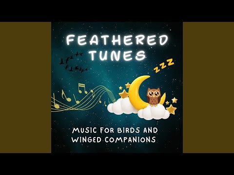 Music with Birds Chirping