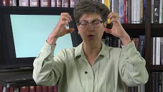 20.10 Other Basal Ganglia Loops