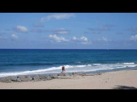 Palm Beach Florida 4k Beach ambiance