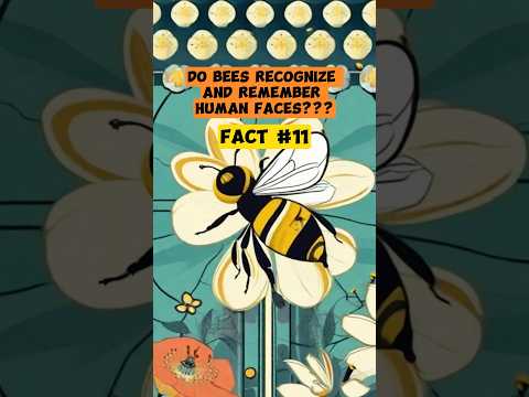 🐝 Nature's Surprises: Bees Recognizing Human Faces 🤓 #fact