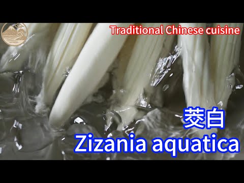 Water Bamboo (茭白)? 🌾 China Traditional Heritage Food#chineseculture