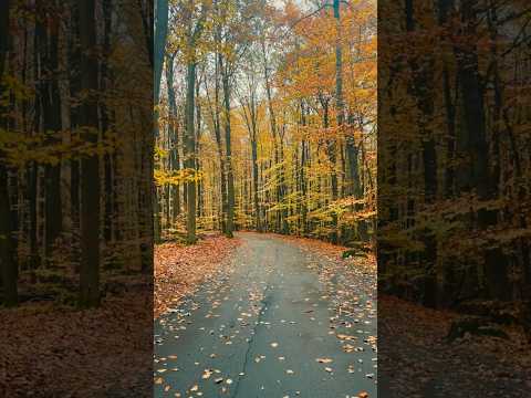 Where Faith takes you , stay focused and firm . #faithinspiration #walking  #natureshorts #nature