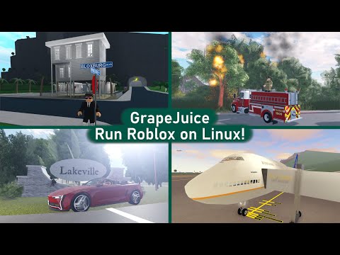 Running Roblox on Linux Is Simple with GrapeJuice! - GrapeJuice Tutorial