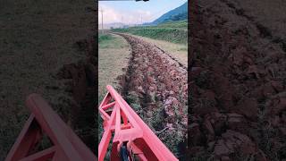 #agritools #farmer life #tonglufeng #agriculture #agritool #youtubeshorts #viral