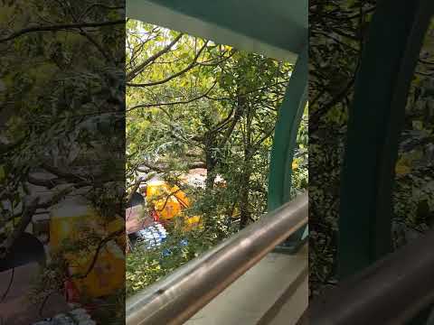 葵芳park神秘之路